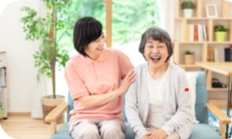 갤러리 사진